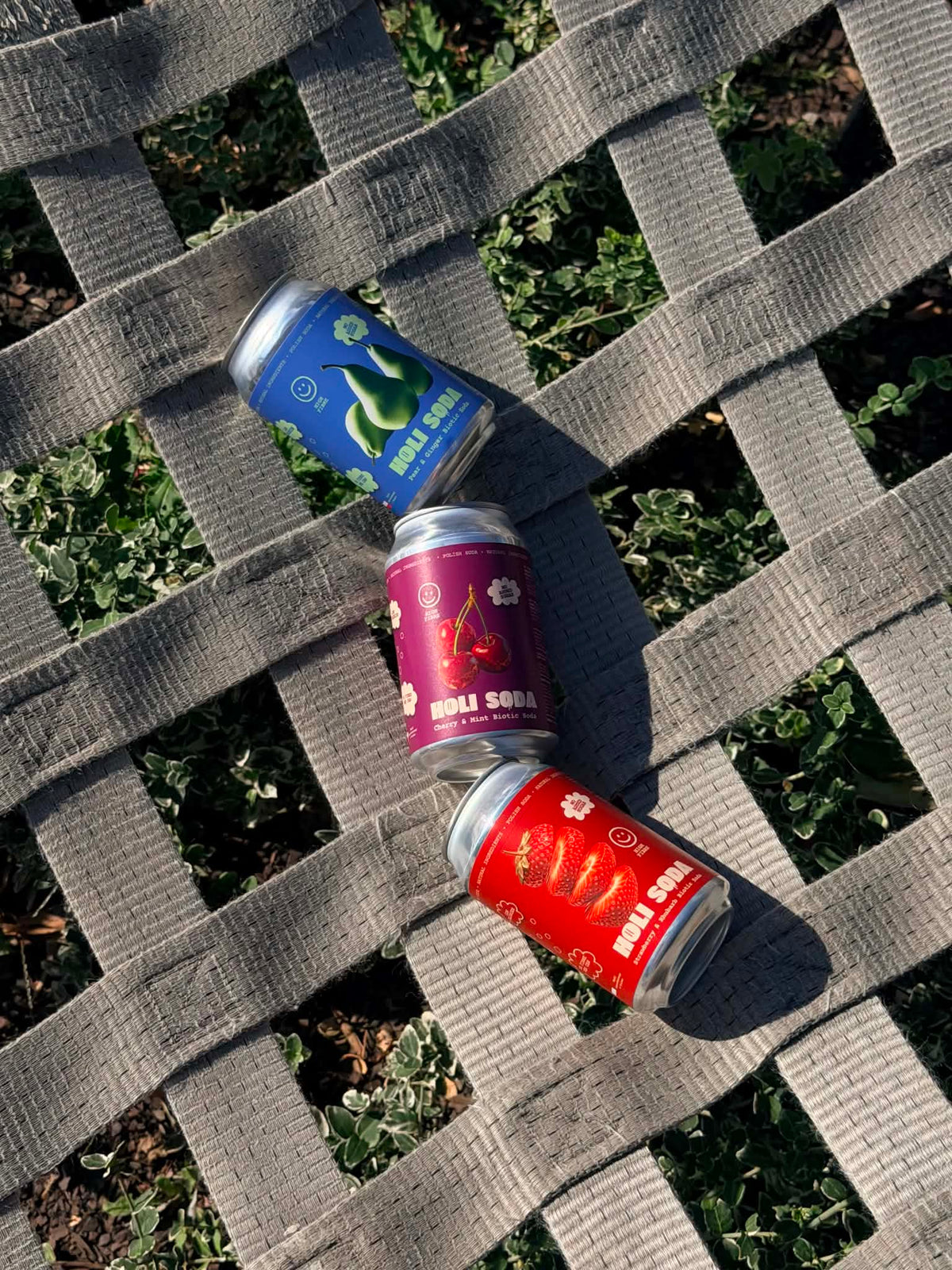 Napój biotyczny Gruszka Imbir 330 ml